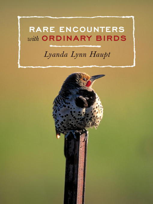 Title details for Rare Encounters with Ordinary Birds by Lyanda Lynn Haupt - Available